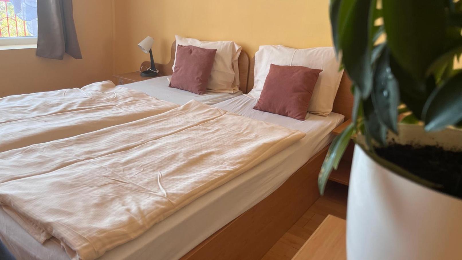 Manuela Ifjusagi Hotel بالاتونفوريد المظهر الخارجي الصورة